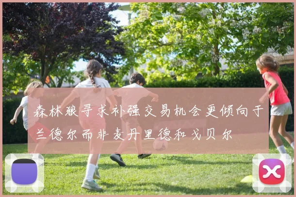 森林狼寻求补强交易机会更倾向于兰德尔而非麦丹里德和戈贝尔